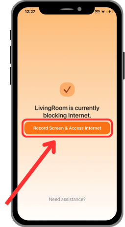 LivingRoom Start Recording.png