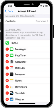 iPhone always allowed small.png