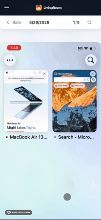 lr safari activity.gif