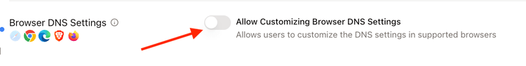 Browser DNS Settings highlighted.png