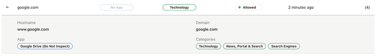 DNS Logs expanded view standard.png
