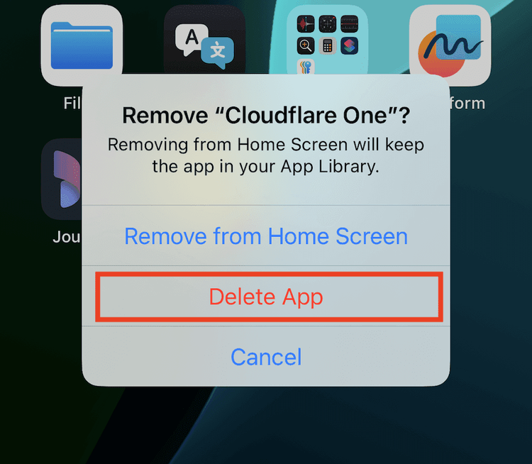 allow App Removal disabled cropped.png