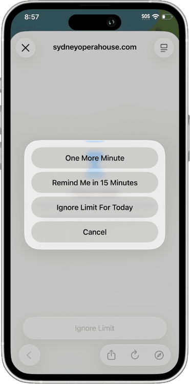 downtime ignore limit iphone mock.png