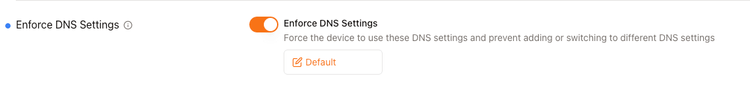 enforce dns settings.png