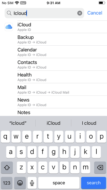 icloud-settings-iphone.PNG