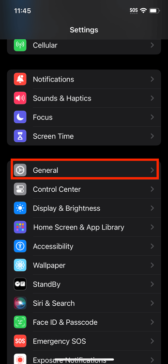 iphone general settings highlighted.PNG