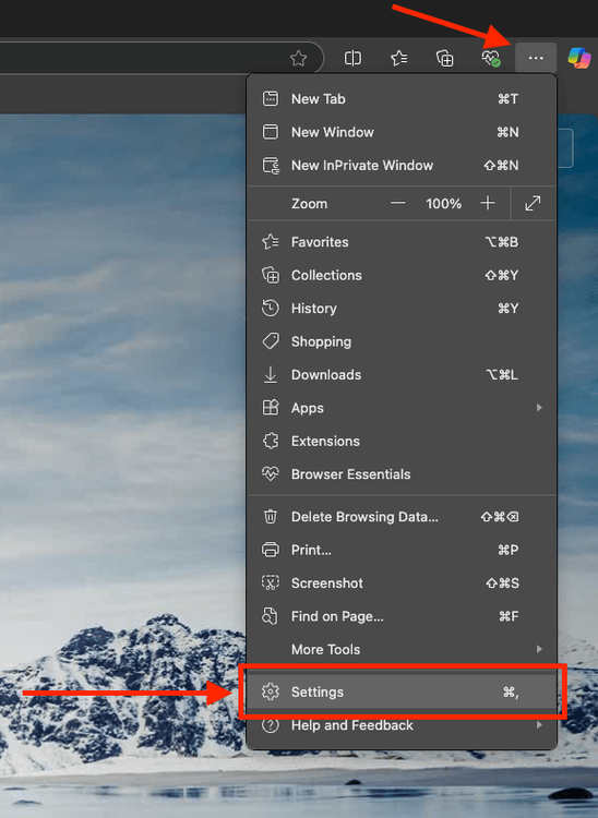 open browser settings.png
