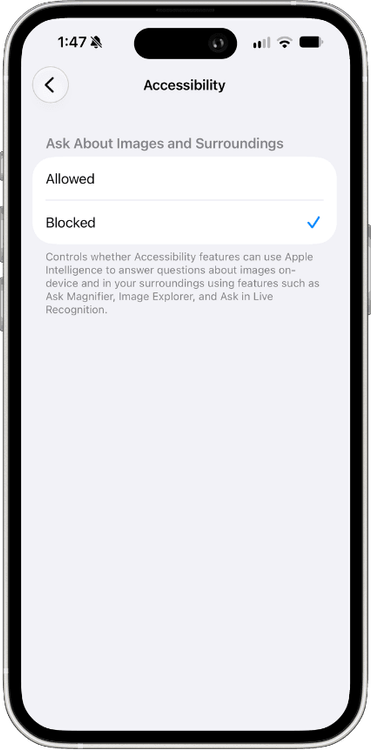 os 27 accessibility and ai features.png
