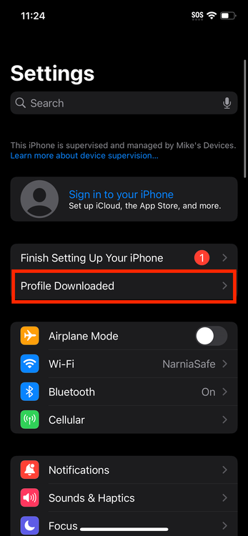 profile downloaded in settings highlighted.PNG