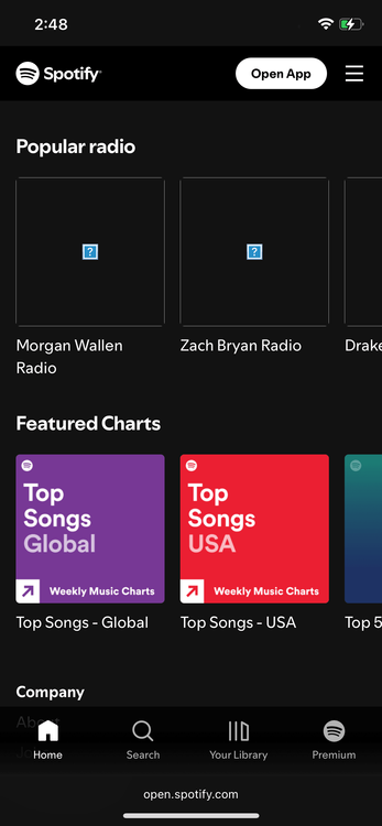 spotify with images blocked.PNG