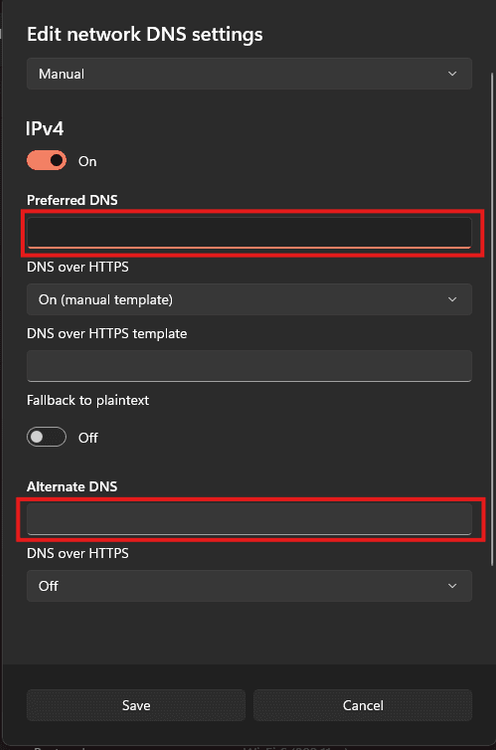 windows 11 Preferred and Alternative IPv4 DNS.png