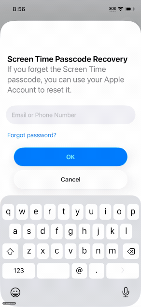 skip apple recovery screen time.gif