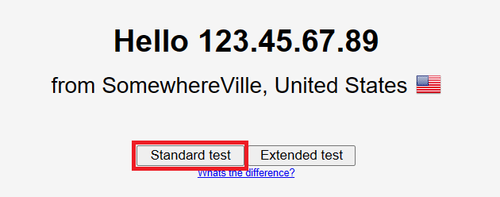 DNS leak test standard test highlighted.png