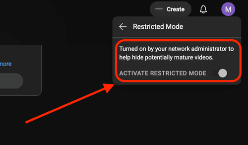 YouTube Restricted Mode enforced