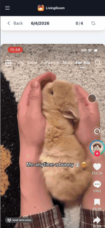 tiktok monitored livingroom dashboard.gif